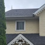 Elsa Roofing