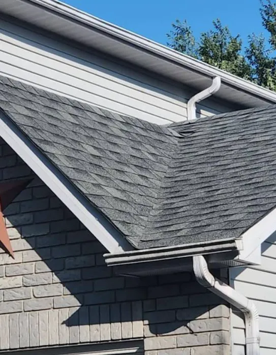 Elsa Roofing Picture 9