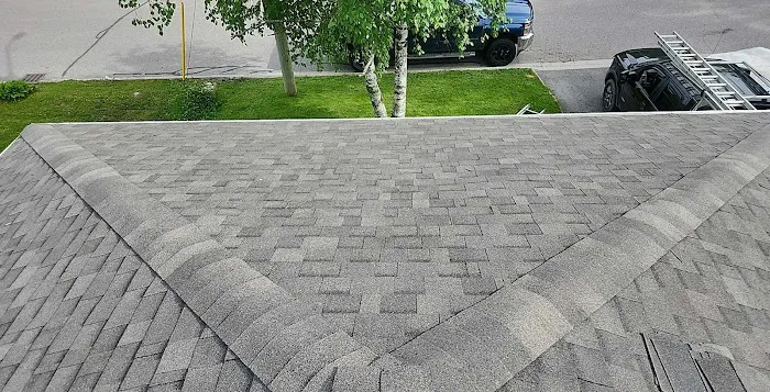 Elsa Roofing Picture 5
