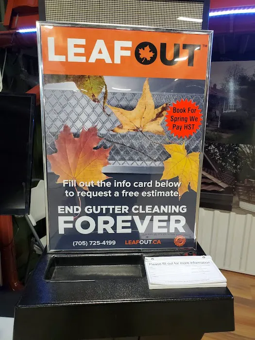 LeafOut Picture 5