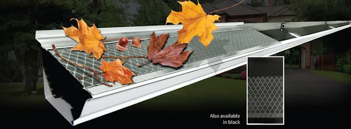 LeafOut Picture 6