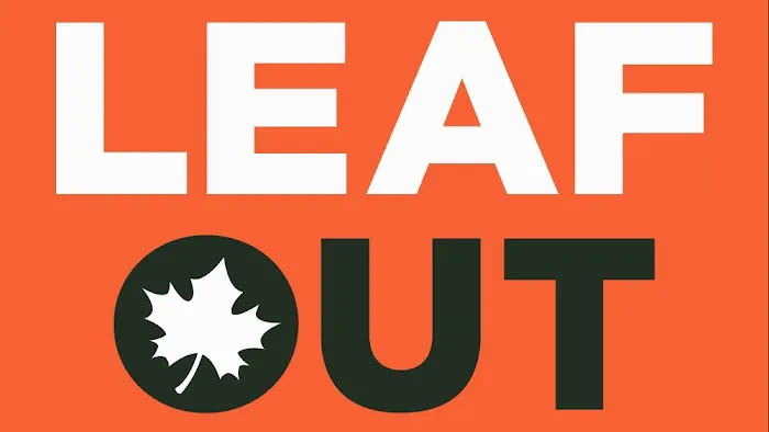 LeafOut Picture 4