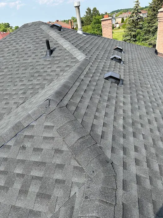 Diamond roof repair & handyman services Picture 4