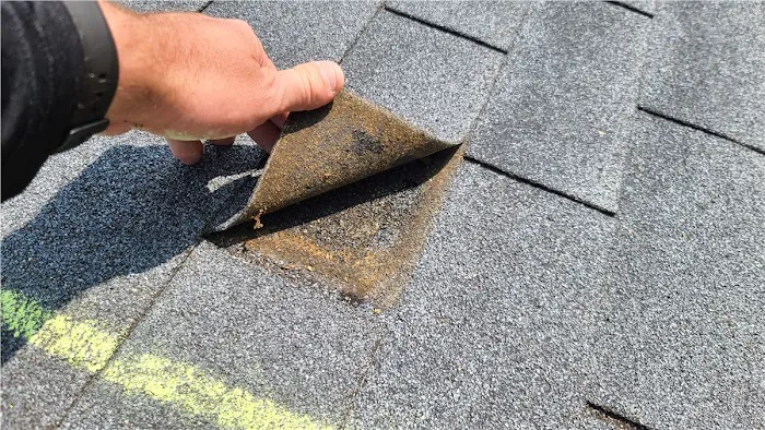 Dostana Roofing & Renovation Picture 2
