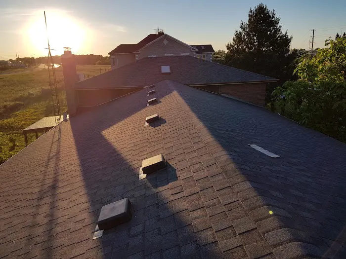 Best Price Roofing & Renovations Inc Picture 5