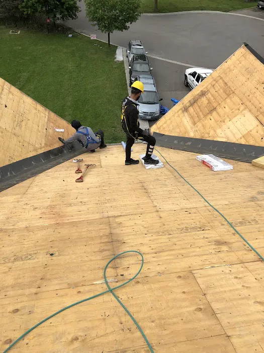 Best Price Roofing & Renovations Inc Picture 4