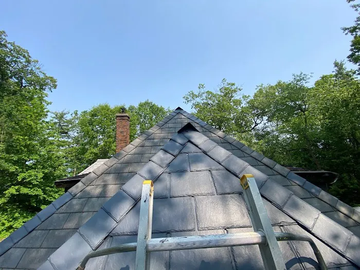 Real Blue Roofing Services Inc. Brampton Picture 5
