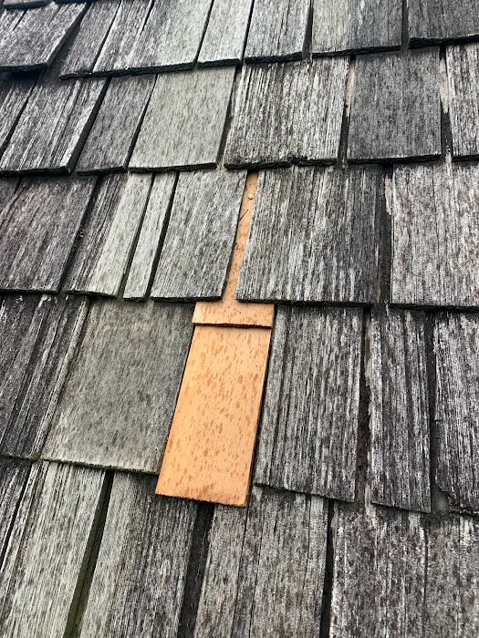 The Roof Technician Oakville - Roof Repairs - Flat Roofing - Skylights Picture 8