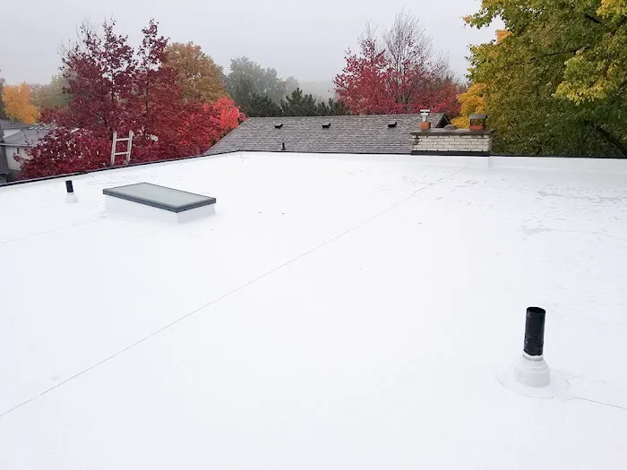 Essential Flat Roofing Services Picture 2