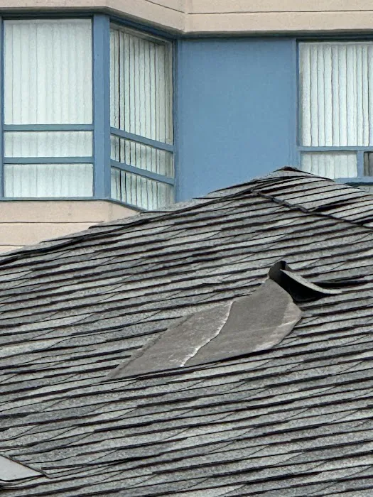 Rain Safe Roofing Picture 5