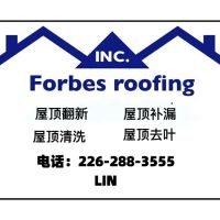 Forbes roofing ico