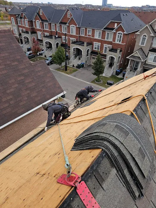 Tactic Roofing Inc. Picture 3