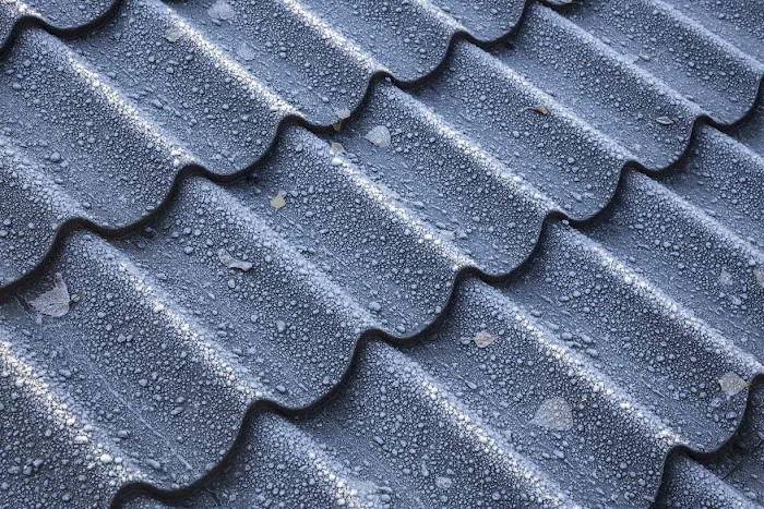 Lifetime Metal Roof Inc Picture 6