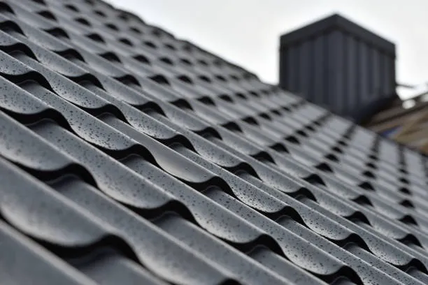 Lifetime Metal Roof Inc Picture 1