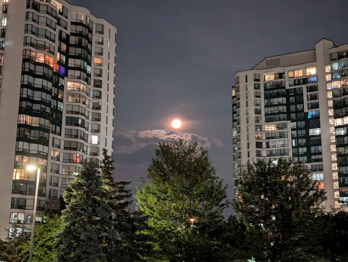 Armour Shield Roofing Mississauga Picture 6