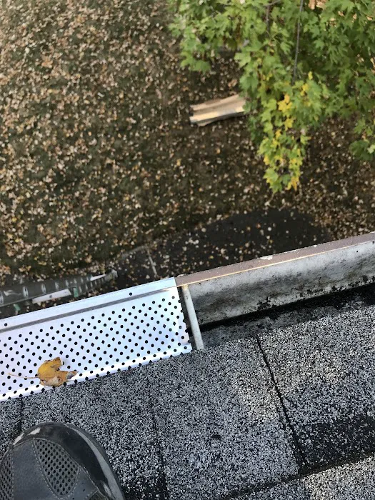 温莎屋顶Windsor Andy Roofing Picture 7