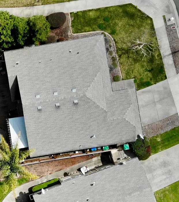 Desi's Roofing Co Ltd Picture 9