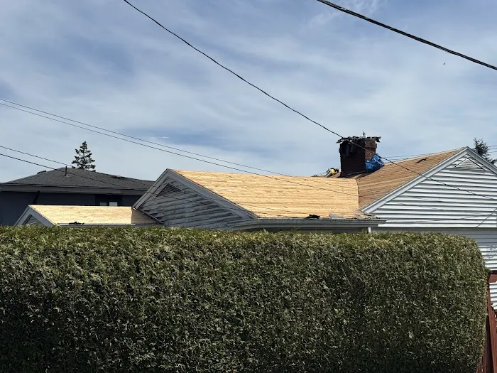 Rydel Roofing Picture 8