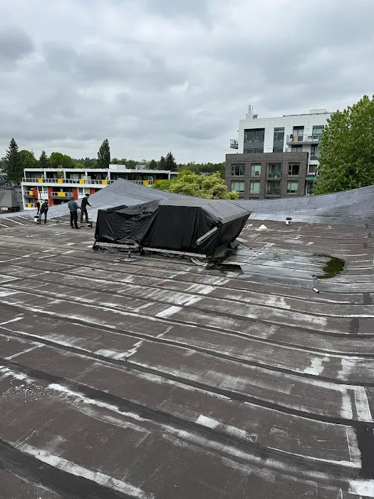 Emmax Roofing Inc - Expert Roofing Services Vancouver Picture 8