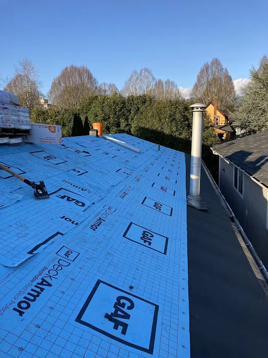 Raise the Roof Roofing & Repair Ltd. Picture 2