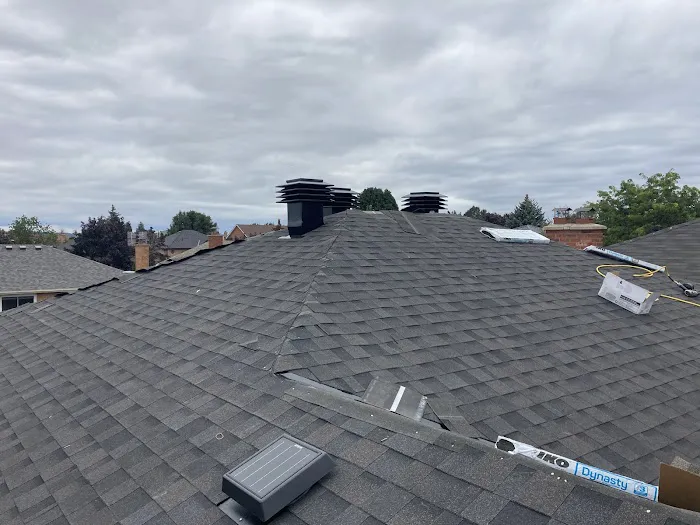 Raise the Roof Roofing & Repair Ltd. Picture 1