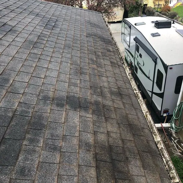 Vancouver Moss Removal Picture 2