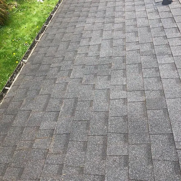 Vancouver Moss Removal Picture 4