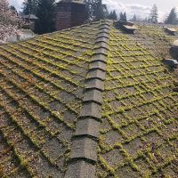 Vancouver Moss Removal ico