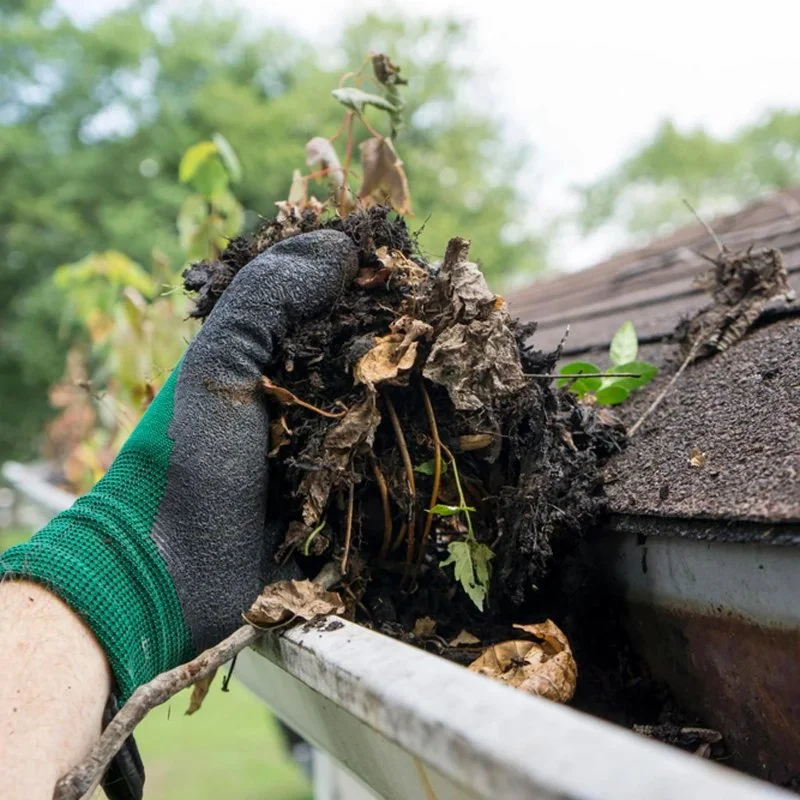 How to Clean and Maintain Your Gutters for Roof Health in Canada