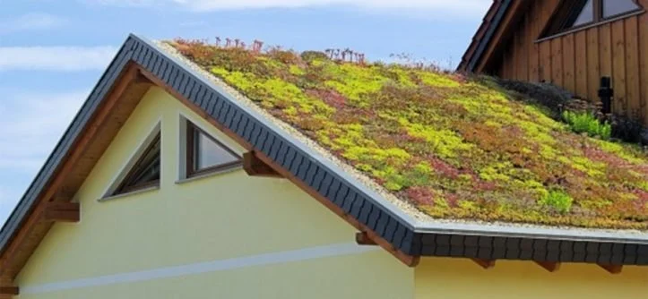 Green Roofing Options: Are They Worth It? | Pickering Roofing