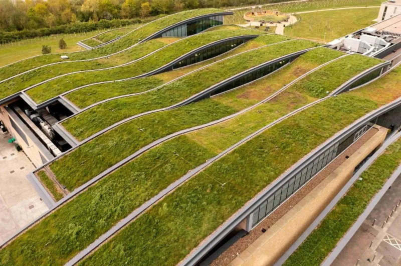Green Roofing Options: Are They Worth It? A Comprehensive Guide