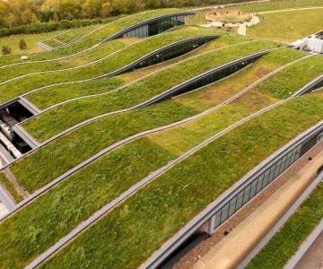 Green Roofing Options: Are They Worth It? A Comprehensive Guide