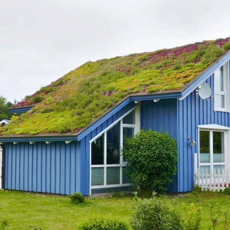 Green Roofing Options: Are They Worth It? - Benefits and Considerations