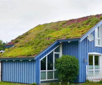 Green Roofing Options: Are They Worth It? - Benefits and Considerations