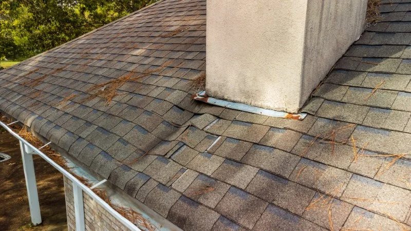 What to Do If Your Roof Starts Leaking | Pickering Roofing