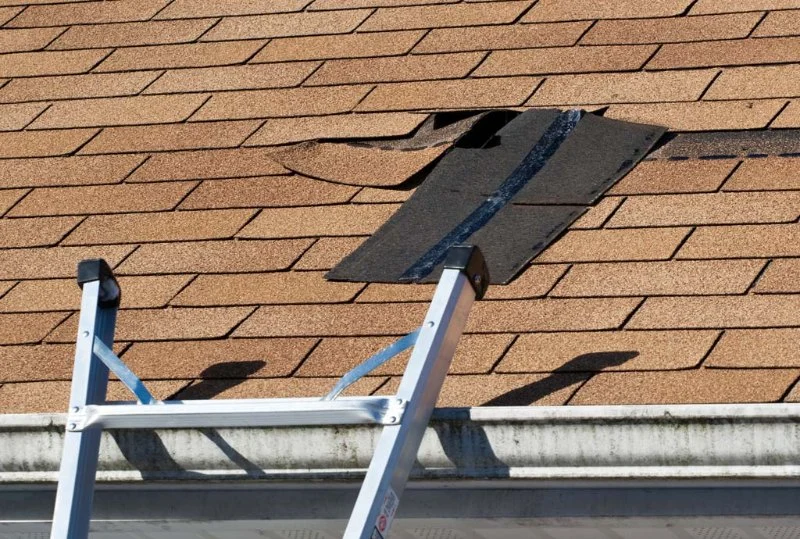 Top Signs Your Roof Has a Leak and What to Do About It in Canada