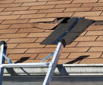 Top Signs Your Roof Has a Leak and What to Do About It in Canada