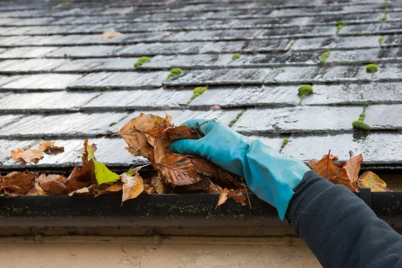 How to Clean and Maintain Your Gutters for Roof Health | Expert Tips