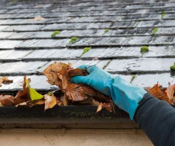 How to Clean and Maintain Your Gutters for Roof Health | Expert Tips