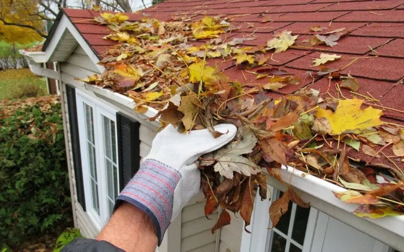 How to Clean and Maintain Your Gutters for Roof Health | Expert Tips