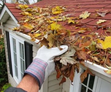 How to Clean and Maintain Your Gutters for Roof Health | Expert Tips