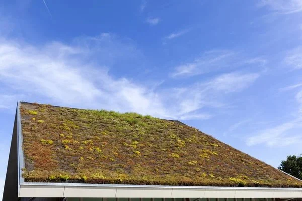 Are Green Roofing Options Worth the Investment?