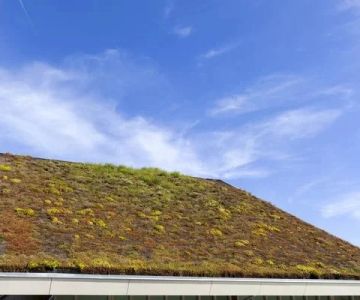 Are Green Roofing Options Worth the Investment?