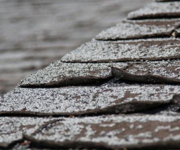 Understanding Roof Granule Loss and Its Impact on Shingles