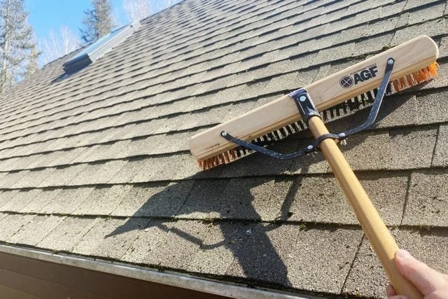 Roof Algae and Moss: Causes, Prevention, and Removal in Canada | Pickering Roofing
