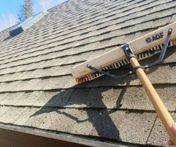 Roof Algae and Moss: Causes, Prevention, and Removal in Canada | Pickering Roofing