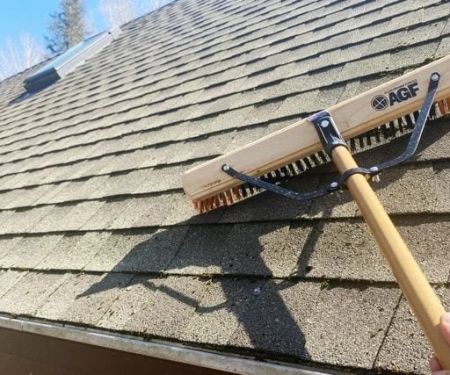 Roof Algae and Moss: Causes, Prevention, and Removal in Canada | Pickering Roofing