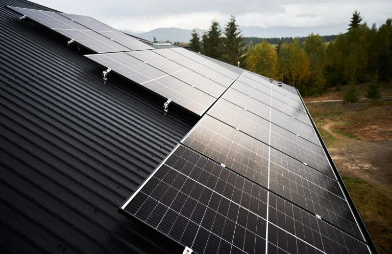 How Solar Panels Affect Your Roof’s Integrity: Key Considerations for Homeowners