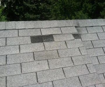 What Does Roof Granule Loss Mean for Your Shingles?
