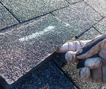 The Real Cost of Ignoring Minor Roof Damage: Why Quick Action is Essential for Homeowners